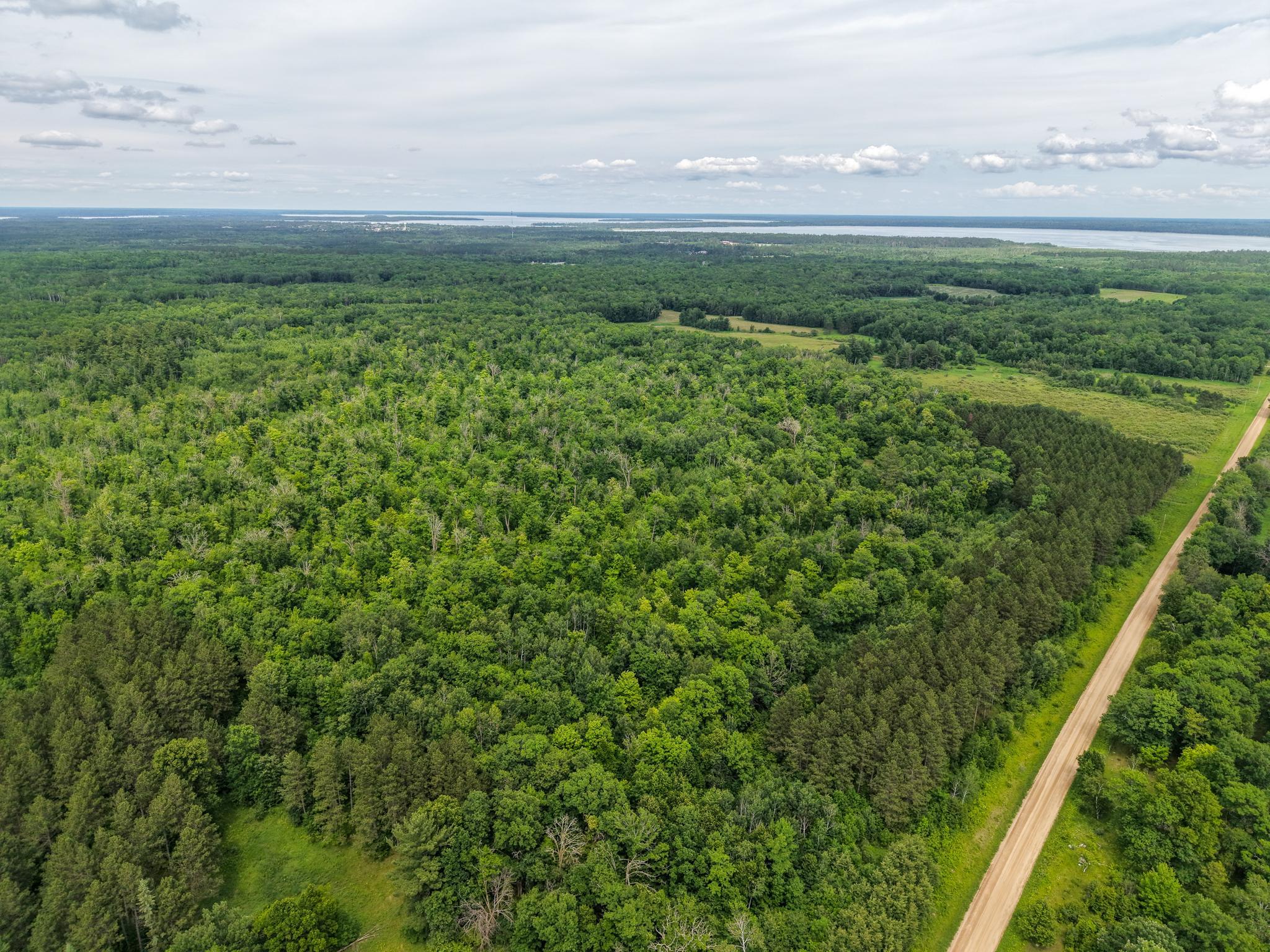80-acres Pike Bay Loop Road Northwest Cass Lake, MN 56633 - Photo 21 of 27