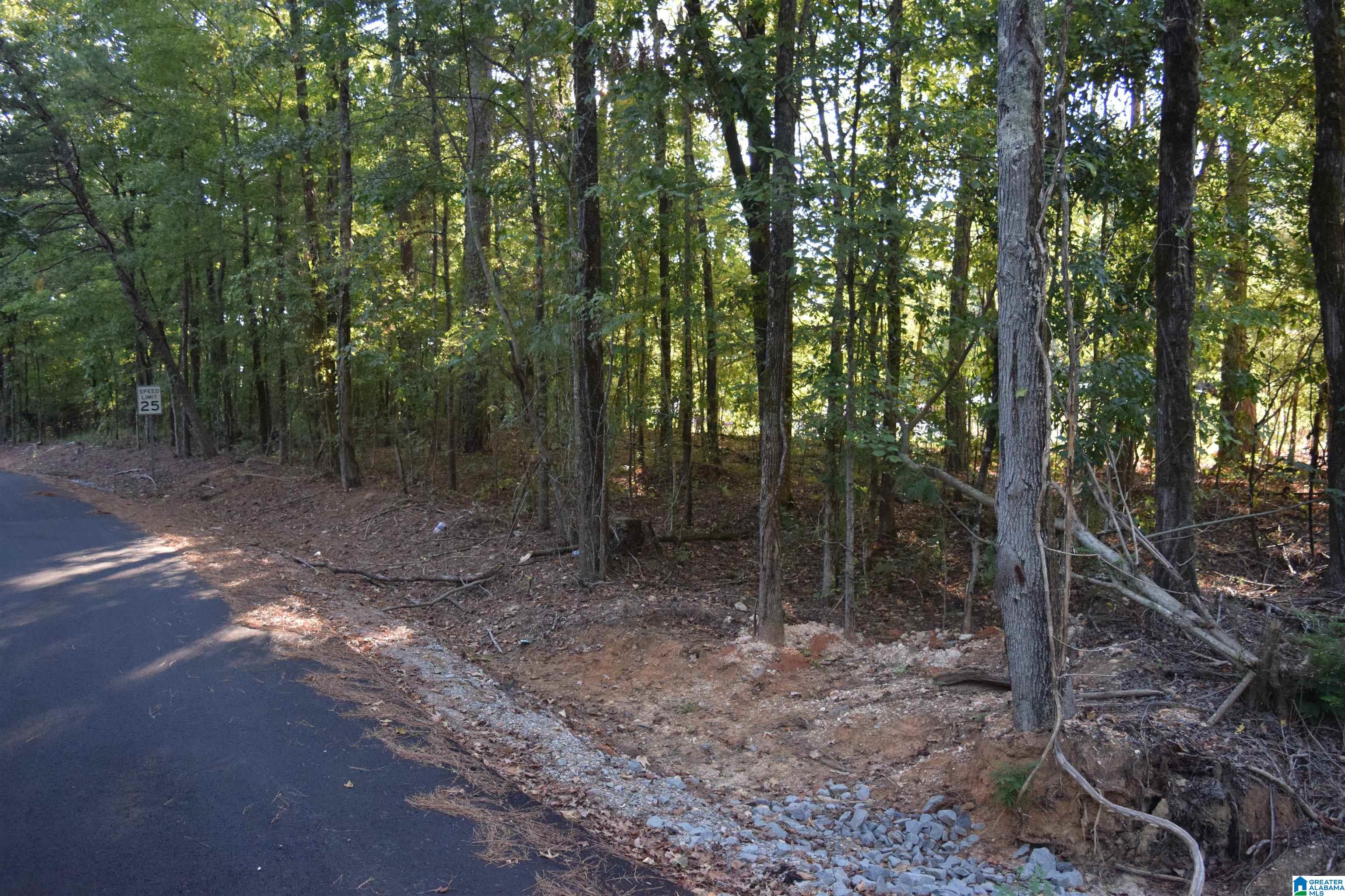 0 Charles Circle, Unit 75 McCalla, AL 35111 - Photo 1 of 6