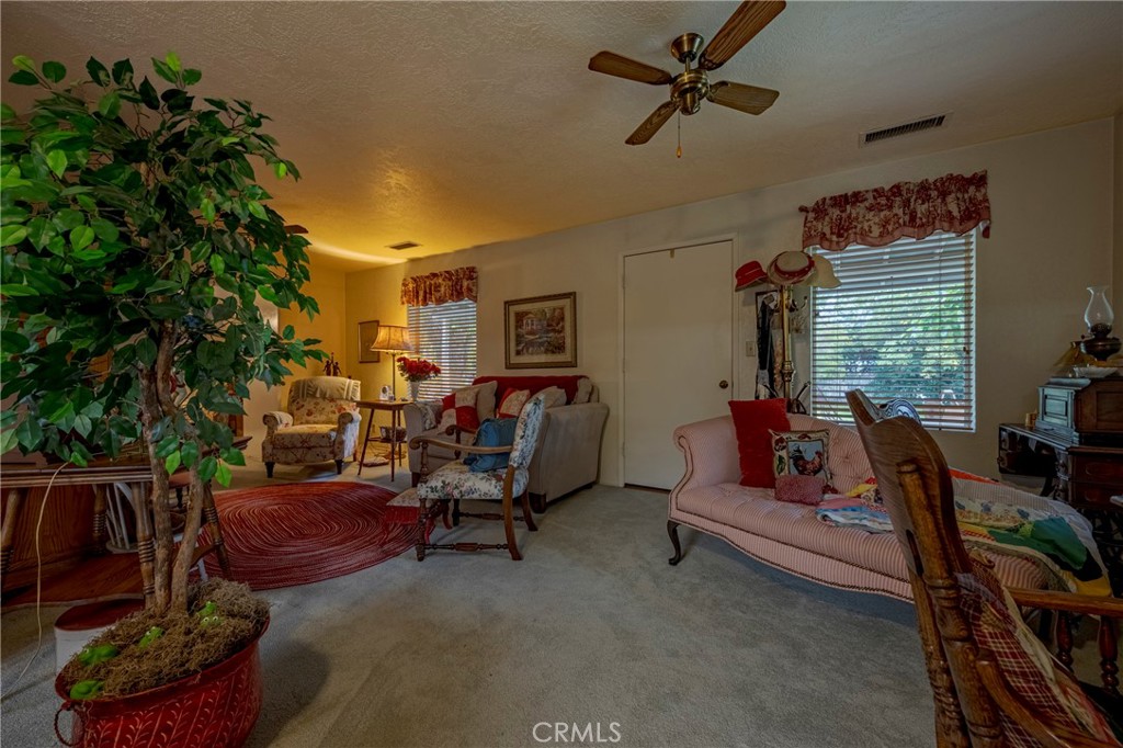 4263 Gurr Road Atwater, CA 95301 - Photo 24 of 73 a living room with furniture and a potted plant
