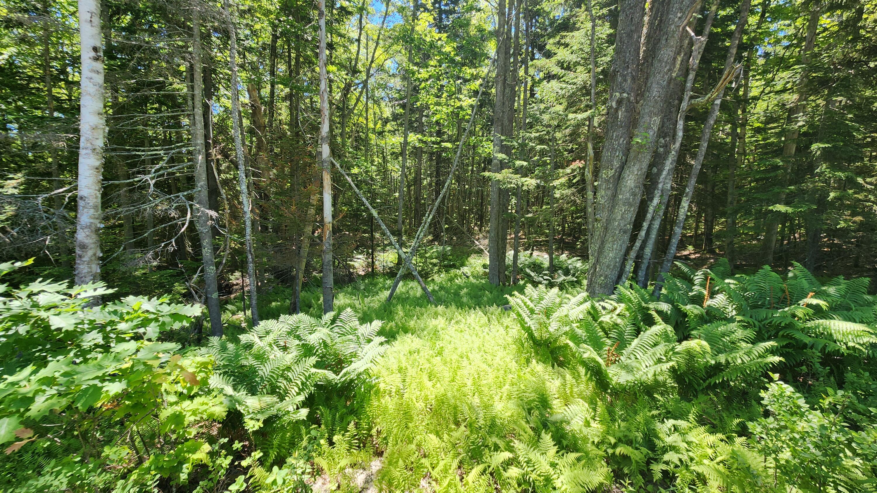 0 Sebasco Road Phippsburg, ME 04562 - Photo 11 of 19