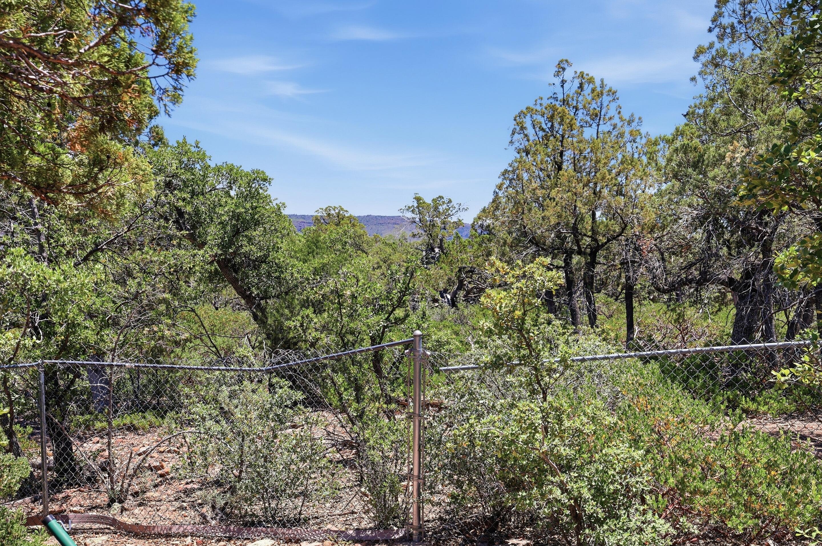3215 Kysar Way Pine, AZ 85544 - Photo 21 of 25