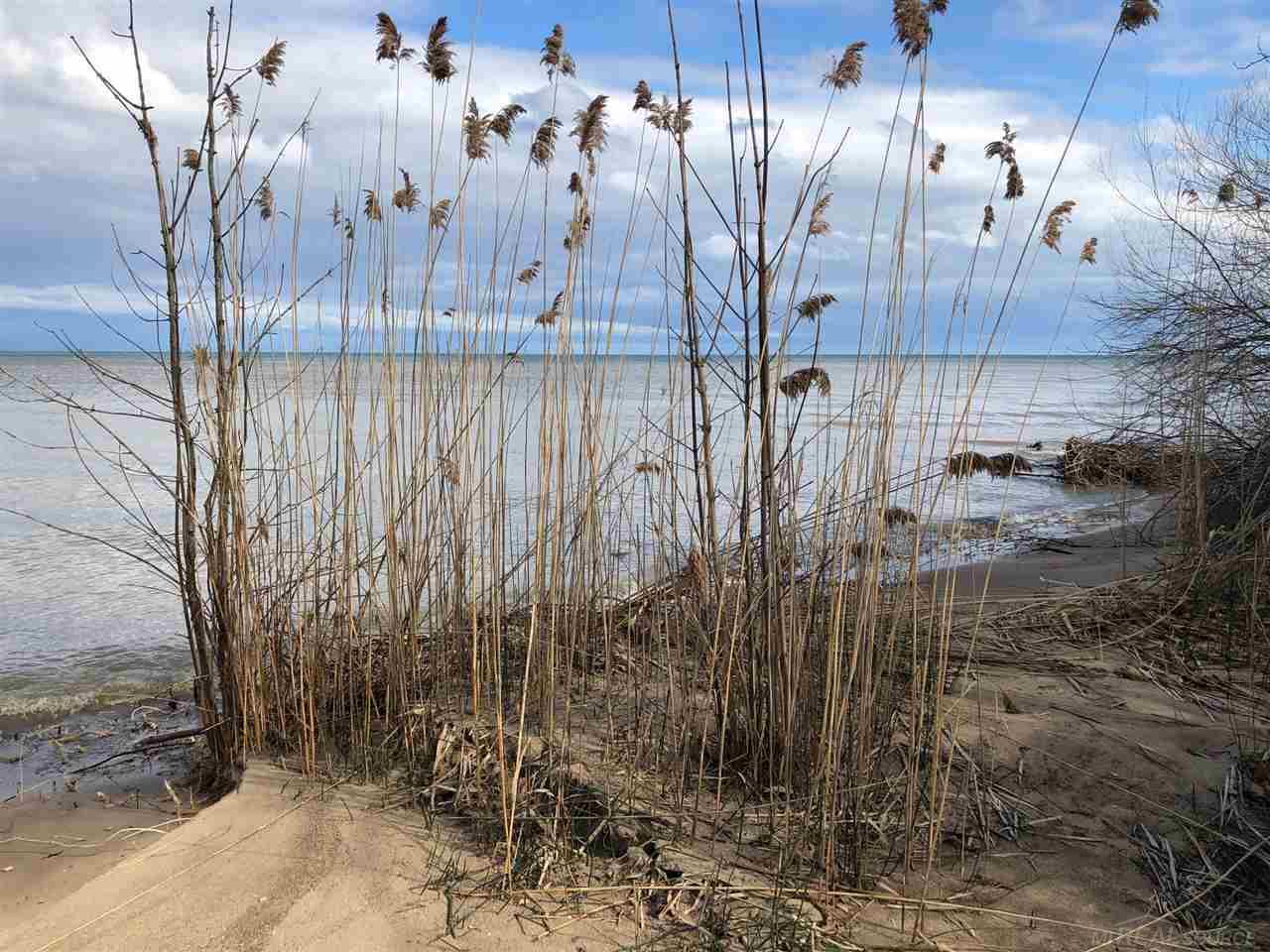 3353 South Lake Shore Road Harbor Beach, MI 48441 - Photo 10 of 20 Gallery Image 10