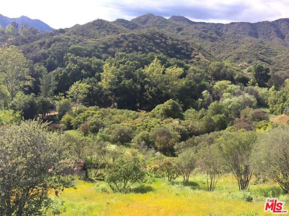 935 Cold Canyon Road Calabasas, CA 91302 - Photo 11 of 14