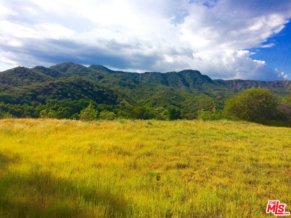 935 Cold Canyon Road Calabasas, CA 91302 - Photo 7 of 14