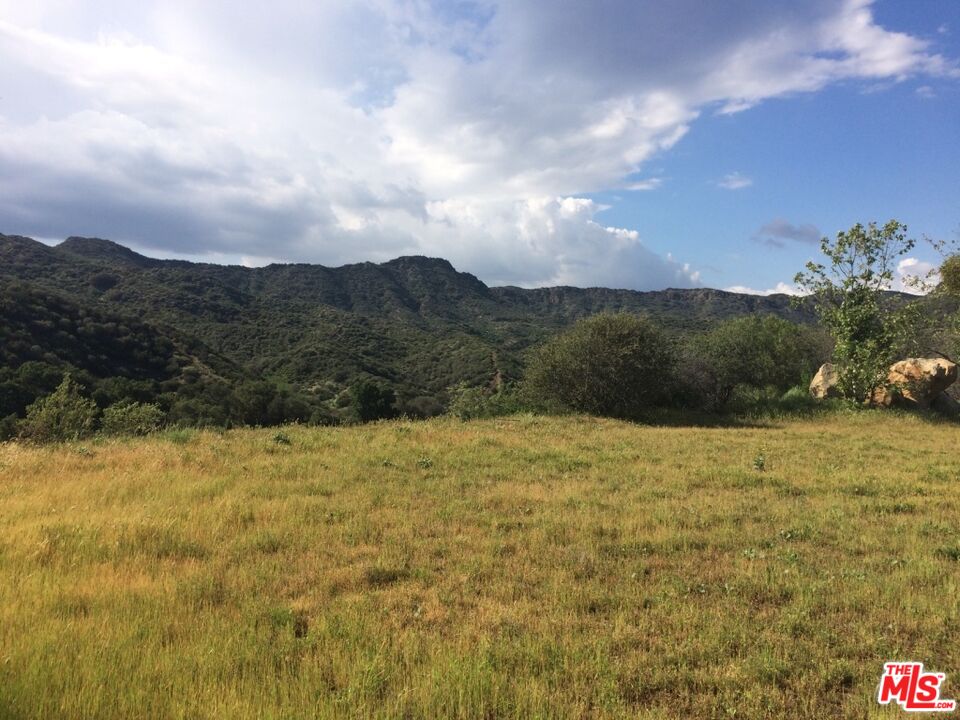 935 Cold Canyon Road Calabasas, CA 91302 - Photo 9 of 14