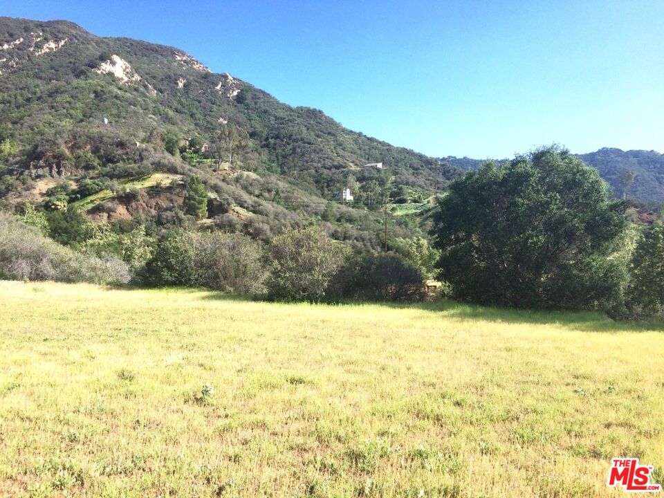 935 Cold Canyon Road Calabasas, CA 91302 - Photo 10 of 14