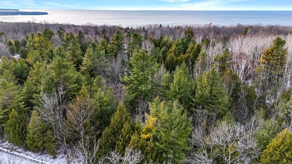 Parcel A Gibraltar Blf Road Fish Creek, WI 54212 - Photo 1 of 11