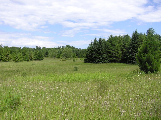 Swenson Road Washington Island, WI 54246 - Photo 1 of 1