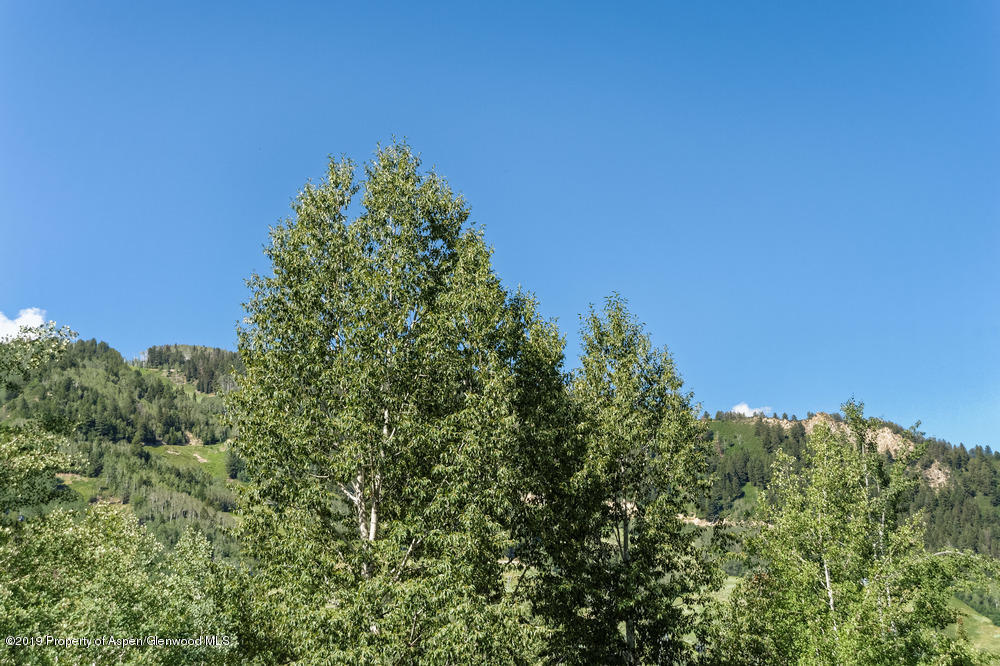 1039 East Cooper Avenue, Unit 41 Aspen, CO 81611 - Photo 11 of 21 Views