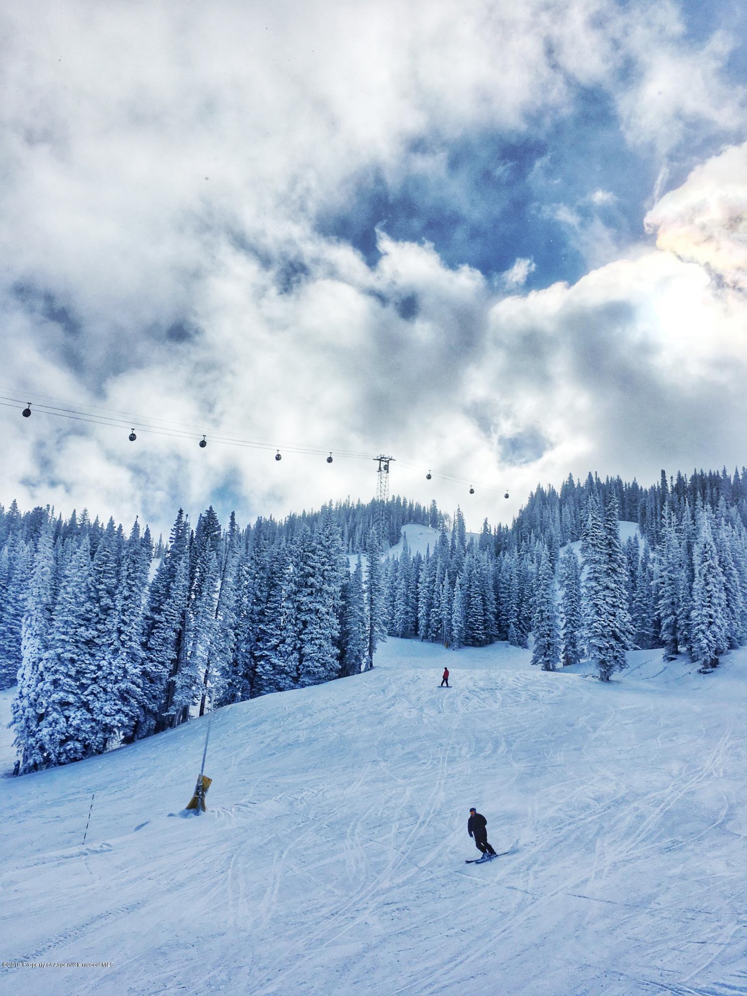 1039 East Cooper Avenue, Unit 41 Aspen, CO 81611 - Photo 14 of 21 Ajax Mountain