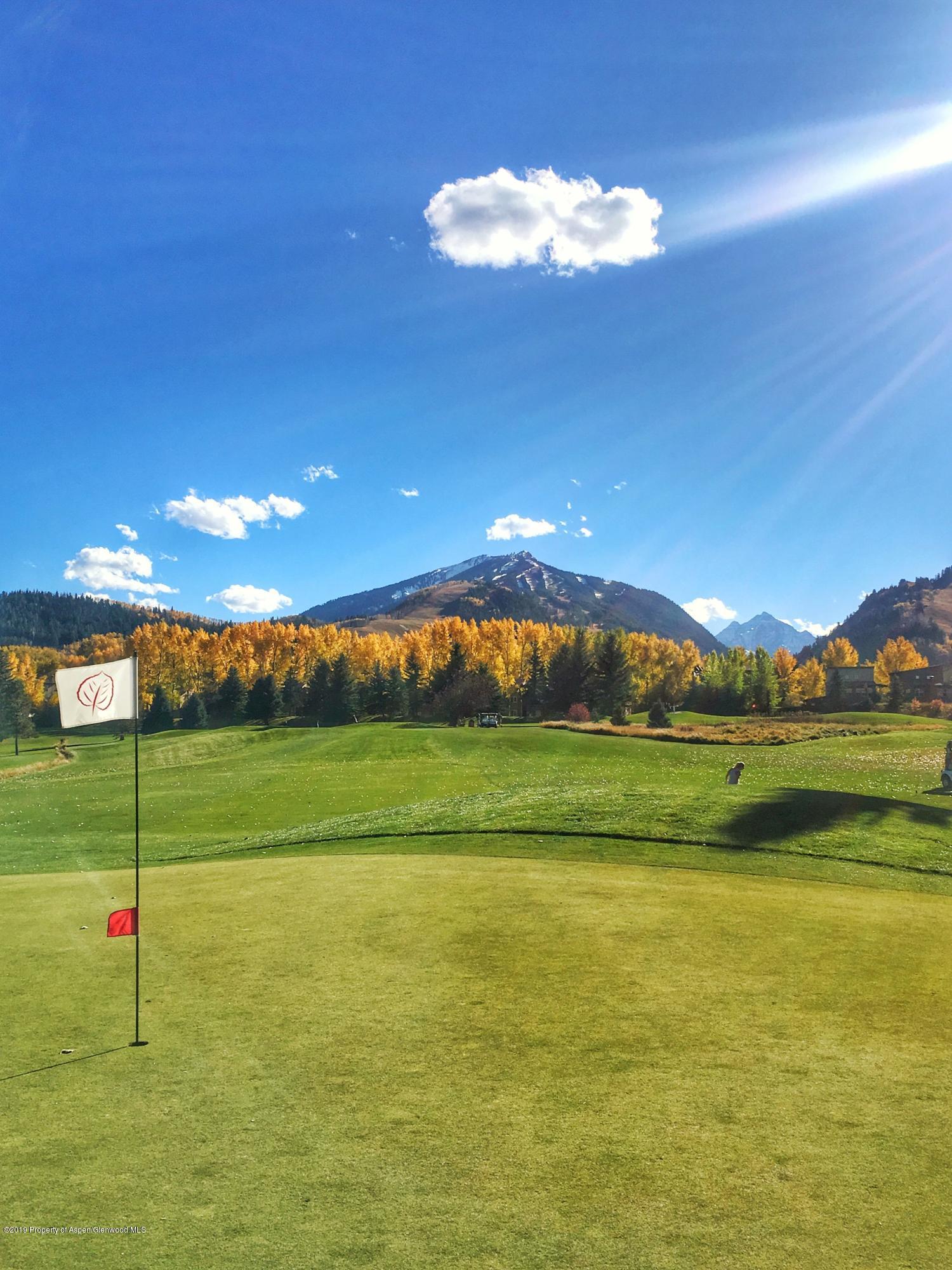 1039 East Cooper Avenue, Unit 41 Aspen, CO 81611 - Photo 16 of 21 Aspen Golf Course