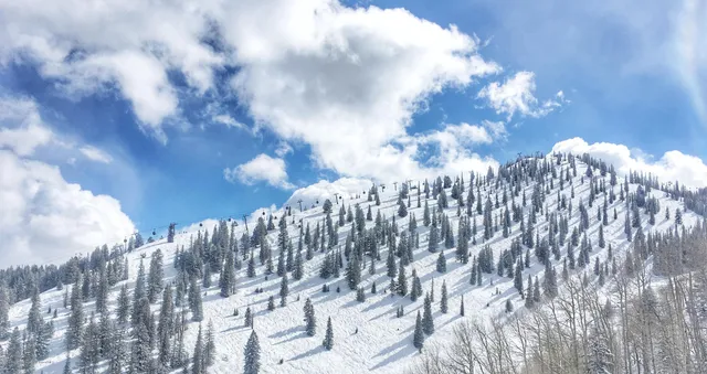 $14,750 | 1039 East Cooper Avenue, Unit 41, Aspen, CO 81611