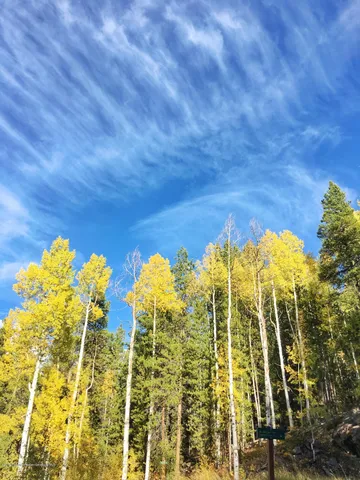 $14,750 | 1039 East Cooper Avenue, Unit 41, Aspen, CO 81611