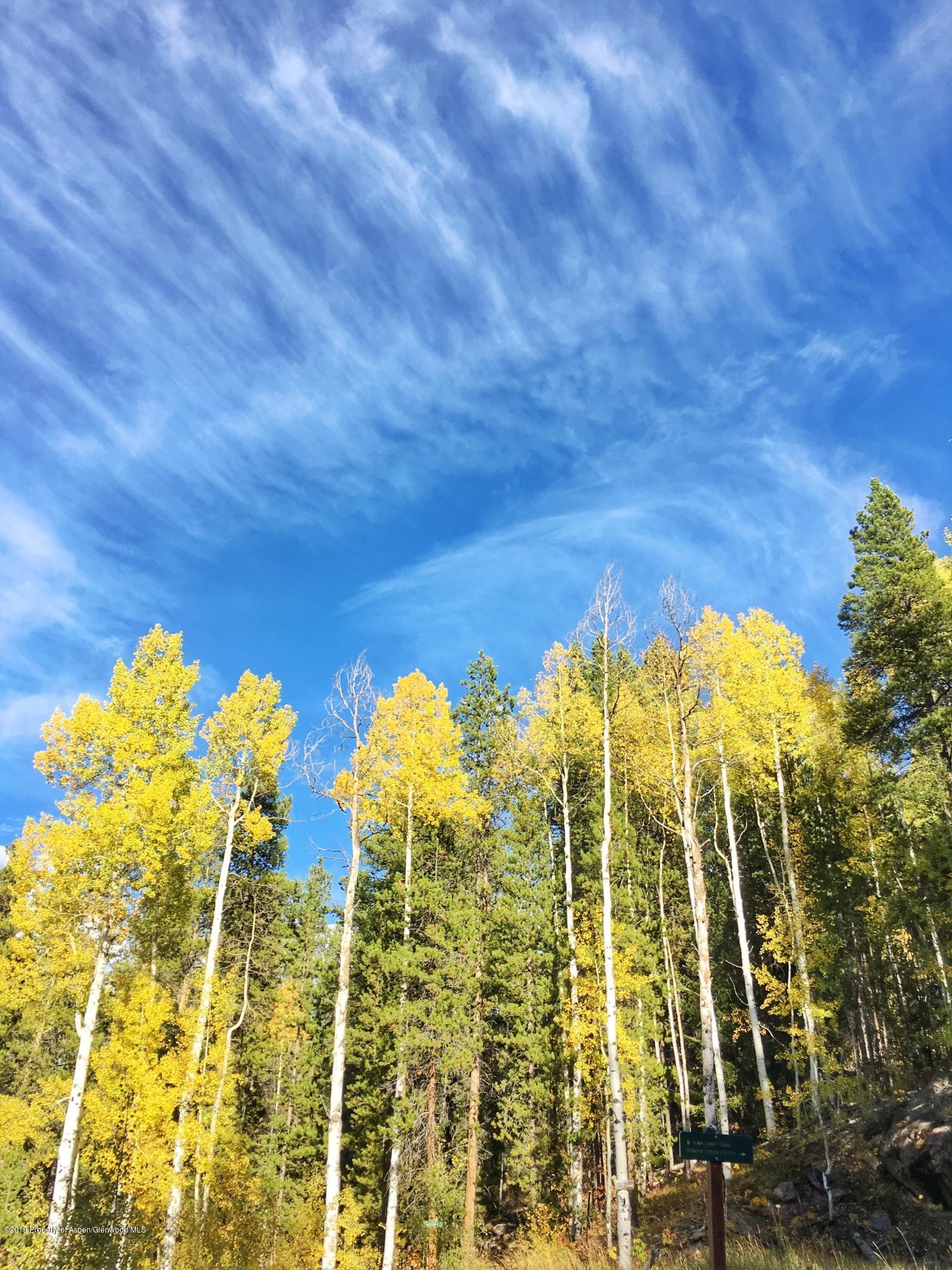 1039 East Cooper Avenue, Unit 41 Aspen, CO 81611 - Photo 18 of 21 Smuggler Fall