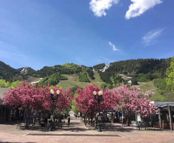 $14,750 | 1039 East Cooper Avenue, Unit 41, Aspen, CO 81611