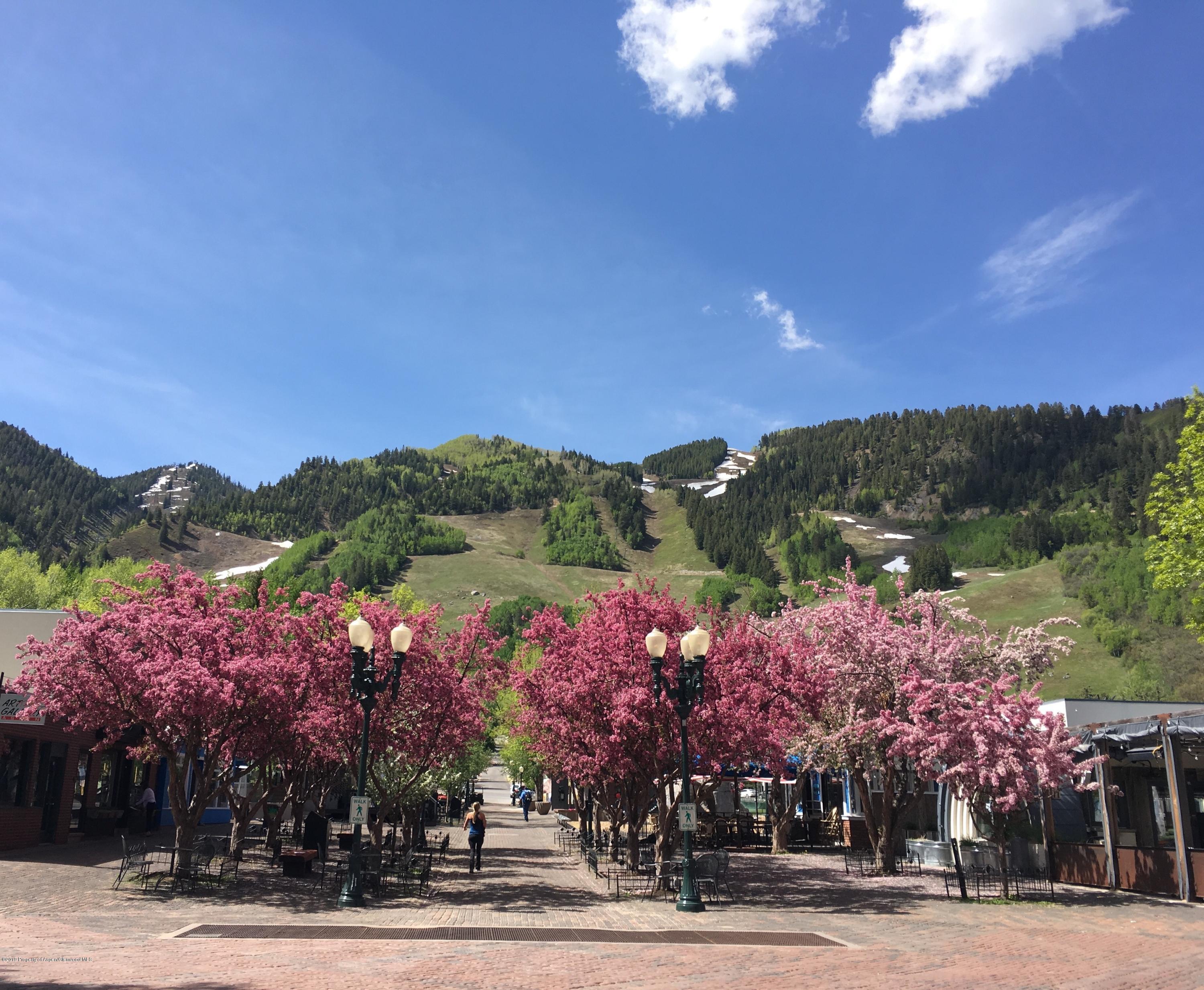 1039 East Cooper Avenue, Unit 41 Aspen, CO 81611 - Photo 19 of 21 Spring Bloom