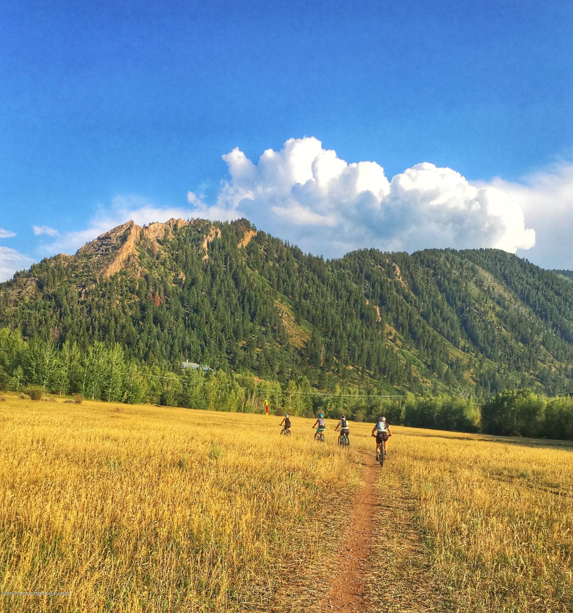 1039 East Cooper Avenue, Unit 41 Aspen, CO 81611 - Photo 20 of 21 Summer Mountain Biking