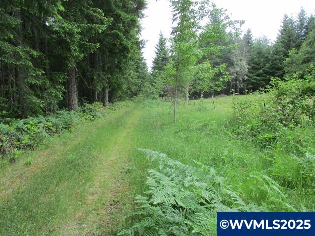 0 Gruber South Road Estacada, OR 97023 - Photo 4 of 30