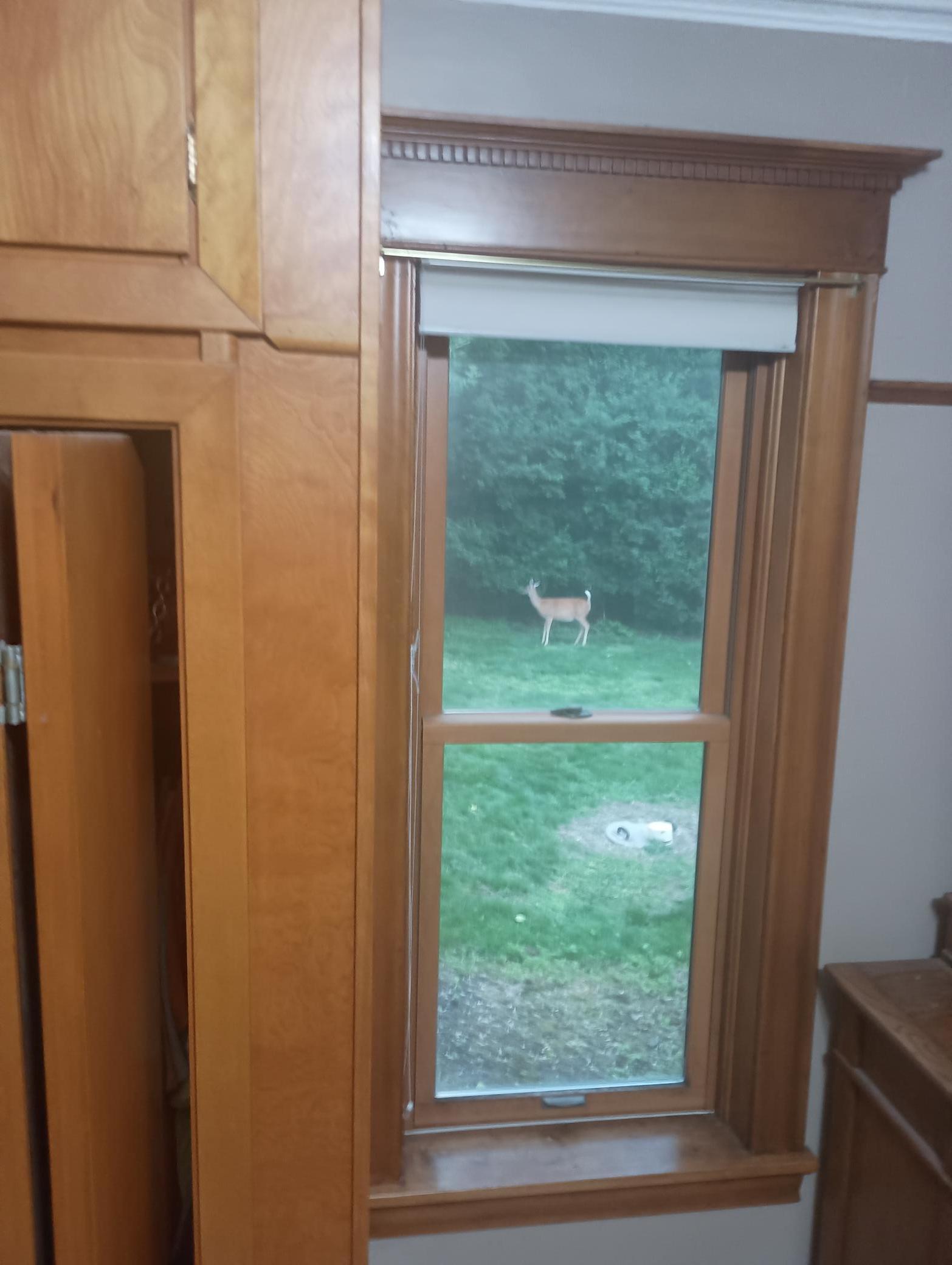 78994 160th Street Sacred Heart, MN 56285 - Photo 108 of 109