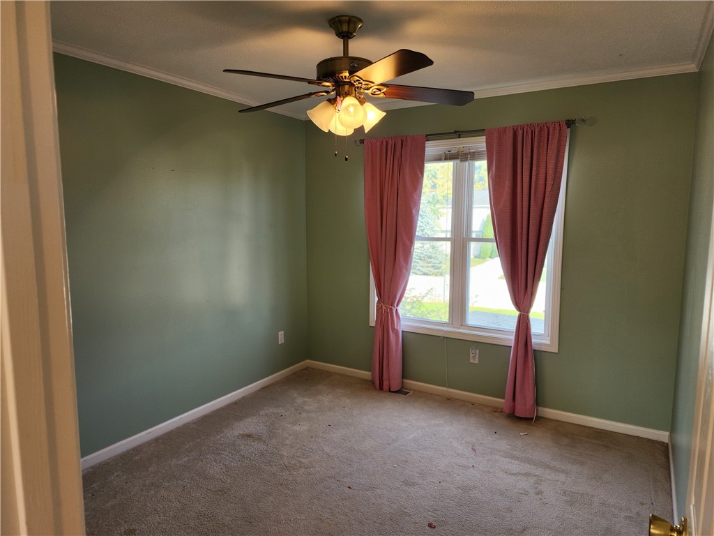 213 Jonquil Lane Greece, NY 14612 - Photo 21 of 38