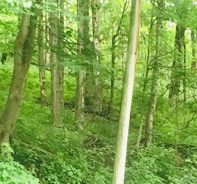 Upper Mud Run Road Bangor, PA 18013 - Photo 1 of 5 a view of a garden