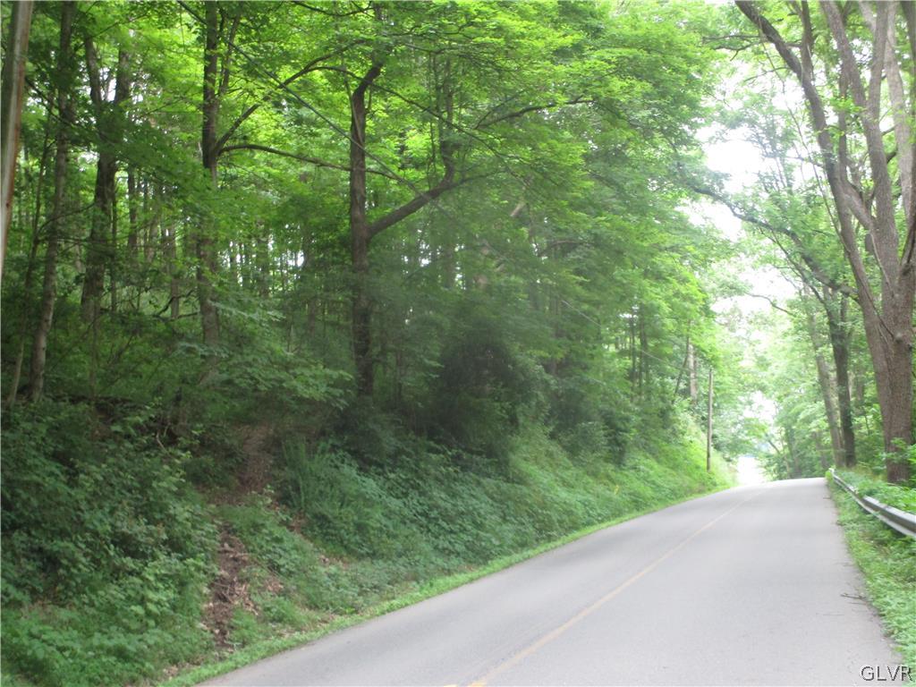 Upper Mud Run Road Bangor, PA 18013 - Photo 2 of 5 a view of a yard with lush green forest