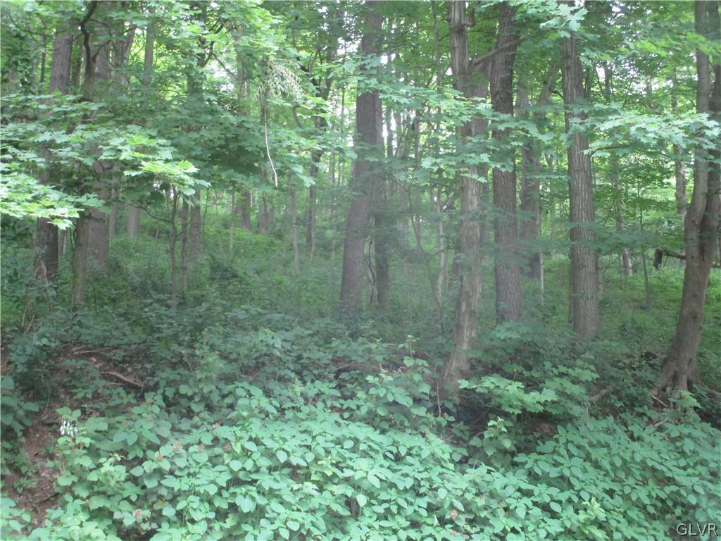 Upper Mud Run Road Bangor, PA 18013 - Photo 4 of 5 a view of a forest that has a tree in the background