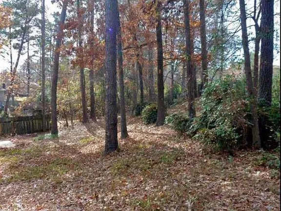 a view of a forest filled with trees