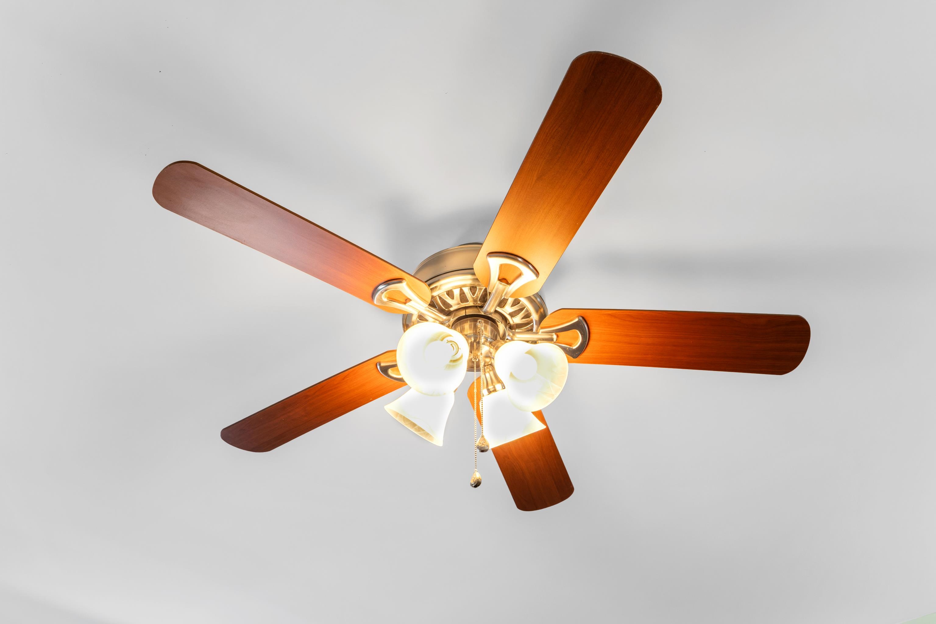 809 Carson Circle Grottoes, VA 24441 - Photo 7 of 57