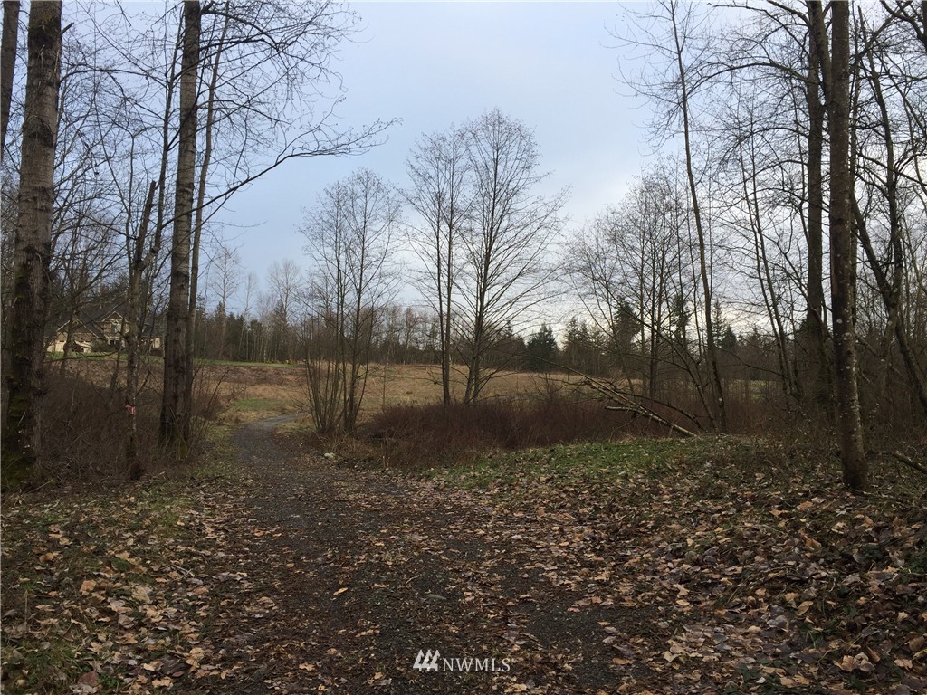 9850 Peace Road Blaine, WA 98230 - Photo 14 of 23 Gallery Image 14