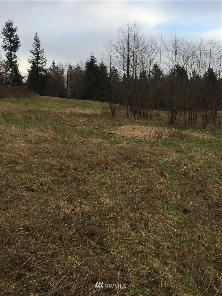 9850 Peace Road Blaine, WA 98230 - Photo 18 of 23 Gallery Image 18