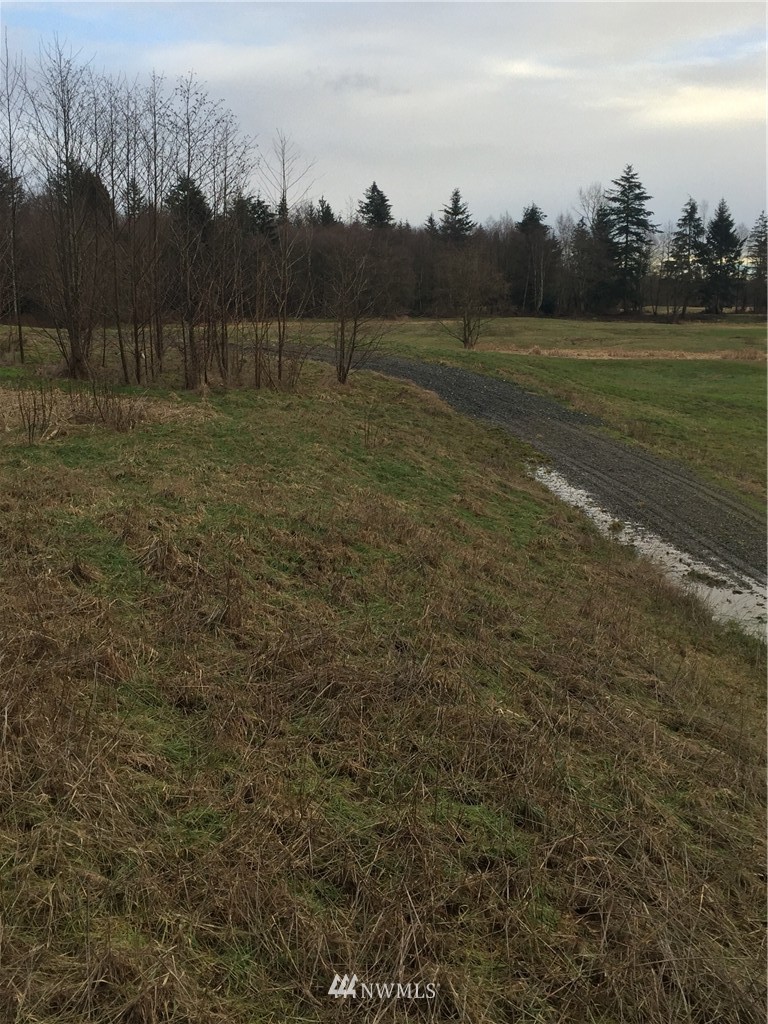 9850 Peace Road Blaine, WA 98230 - Photo 19 of 23 Gallery Image 19