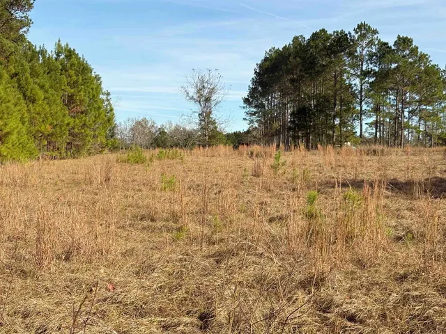 $64,000 | Quail Roost Drive, Quincy, FL 32352