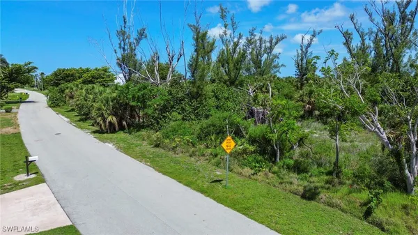 a view of a garden with a park