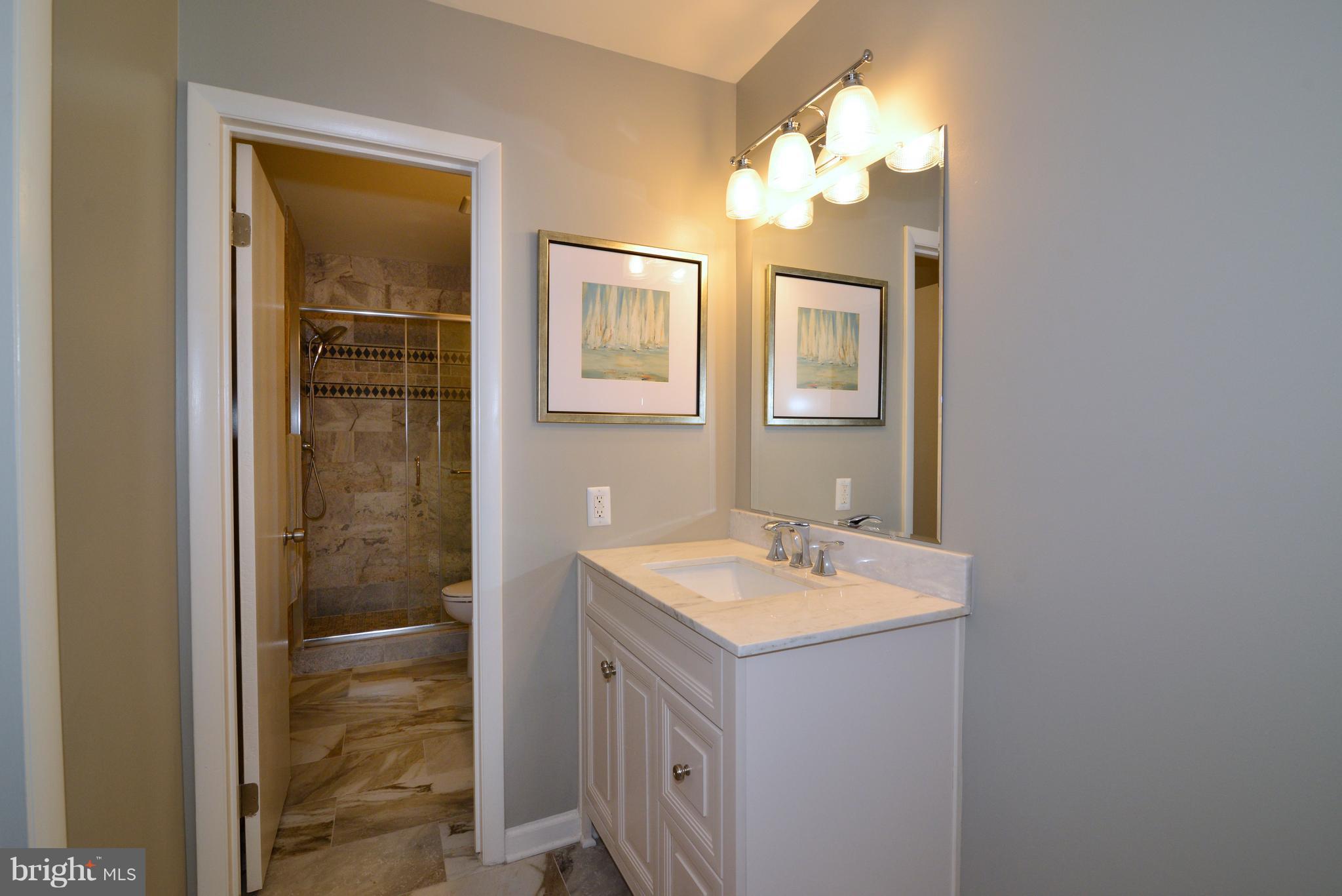 2269 Cedar Cove Court Reston, VA 20191 - Photo 16 of 27 Owner's Suite with upgraded bathroom!