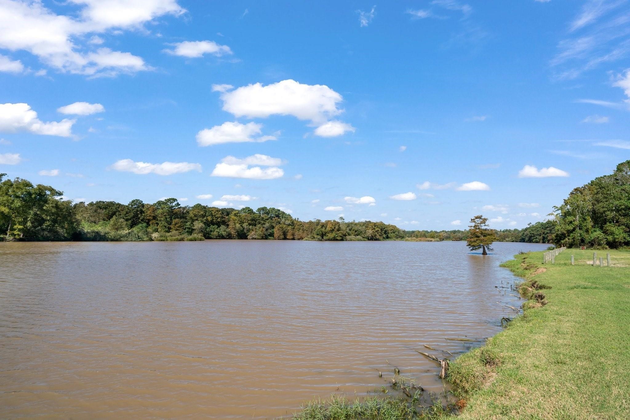 28526 Riverside Crest Lane Houston, TX 77336 - Photo 34 of 36 a view of a lake from a yard