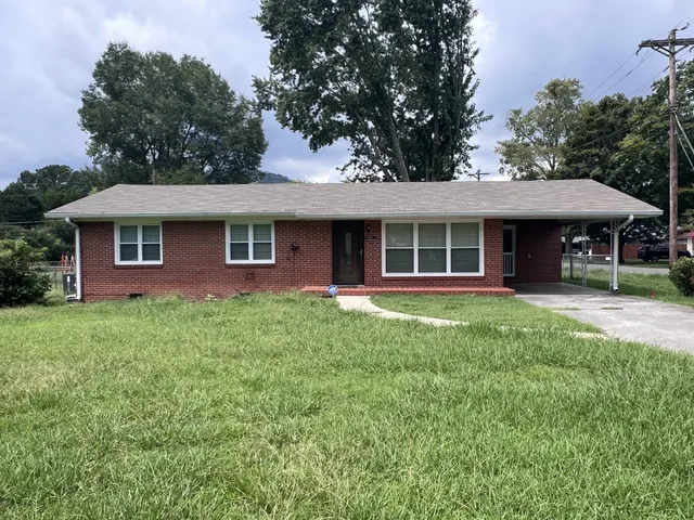 a front view of a house with yard and green space
