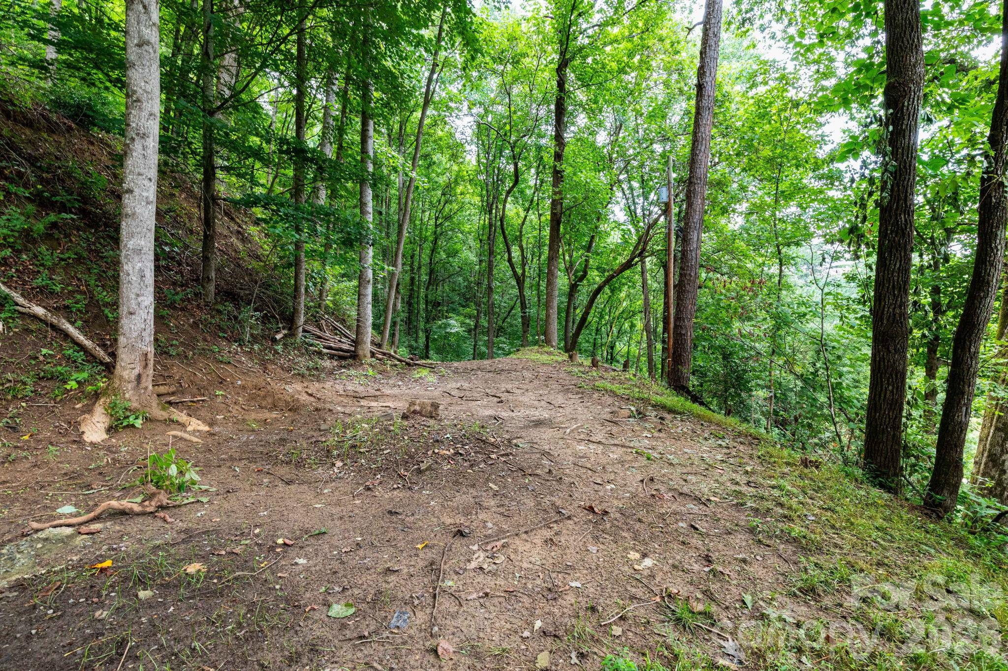 210 Sunset Farms Road Whittier, NC 28789 - Photo 16 of 34 Gallery Image 16