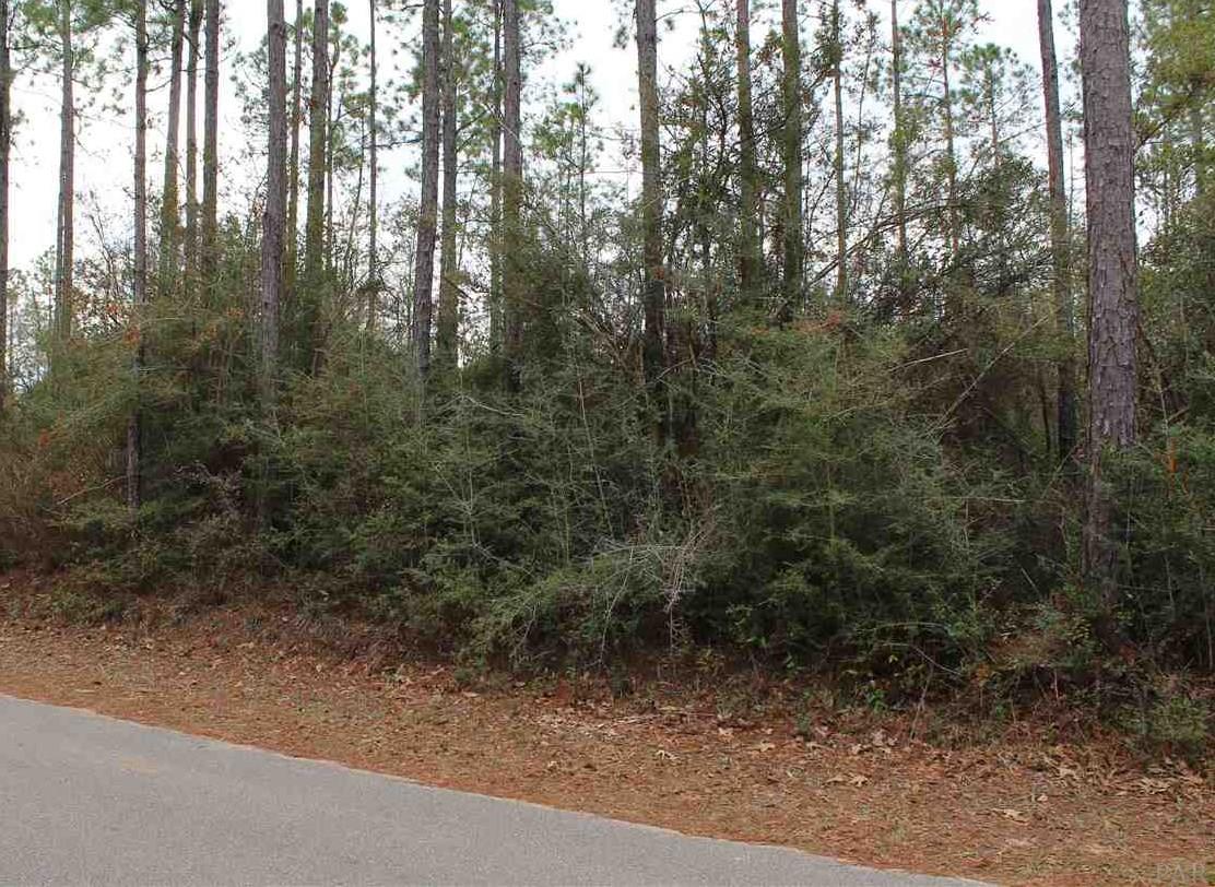 Lot 18 Wallace Lake Road Pace, FL 32571 - Photo 1 of 1 Gallery Image 1