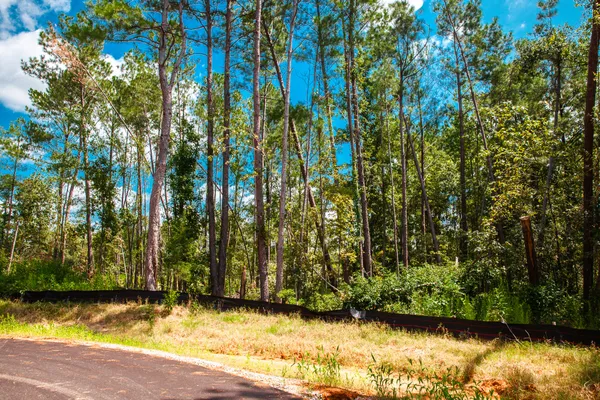 $159,900 | Lot 15 Leyland Court, Clarks Hill, SC 29821