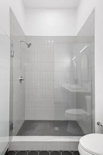 a bathroom with a shower and toilet