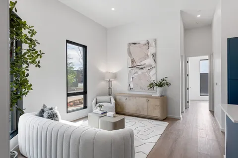 a living room with furniture and a potted plant