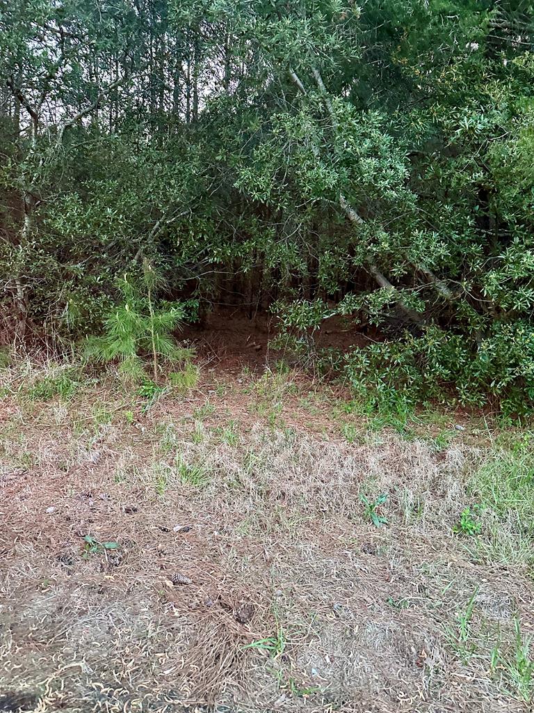 Lot #3 East Point Road, Unit 3 Onancock, VA 23417 - Photo 5 of 17
