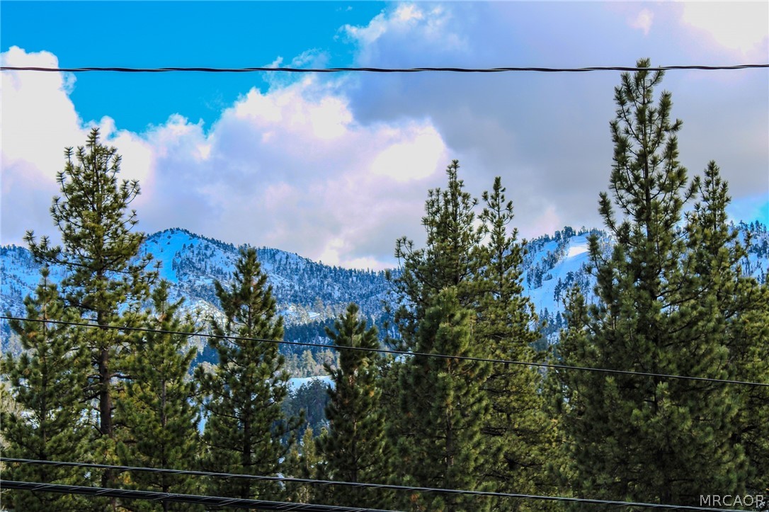 42830 Cougar Road, Unit UPPR Big Bear Lake, CA 92315 - Photo 21 of 21 a view of a yard