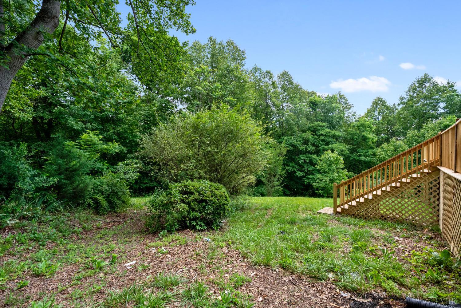299 Ragland Road Madison Heights, VA 24572 - Photo 50 of 62