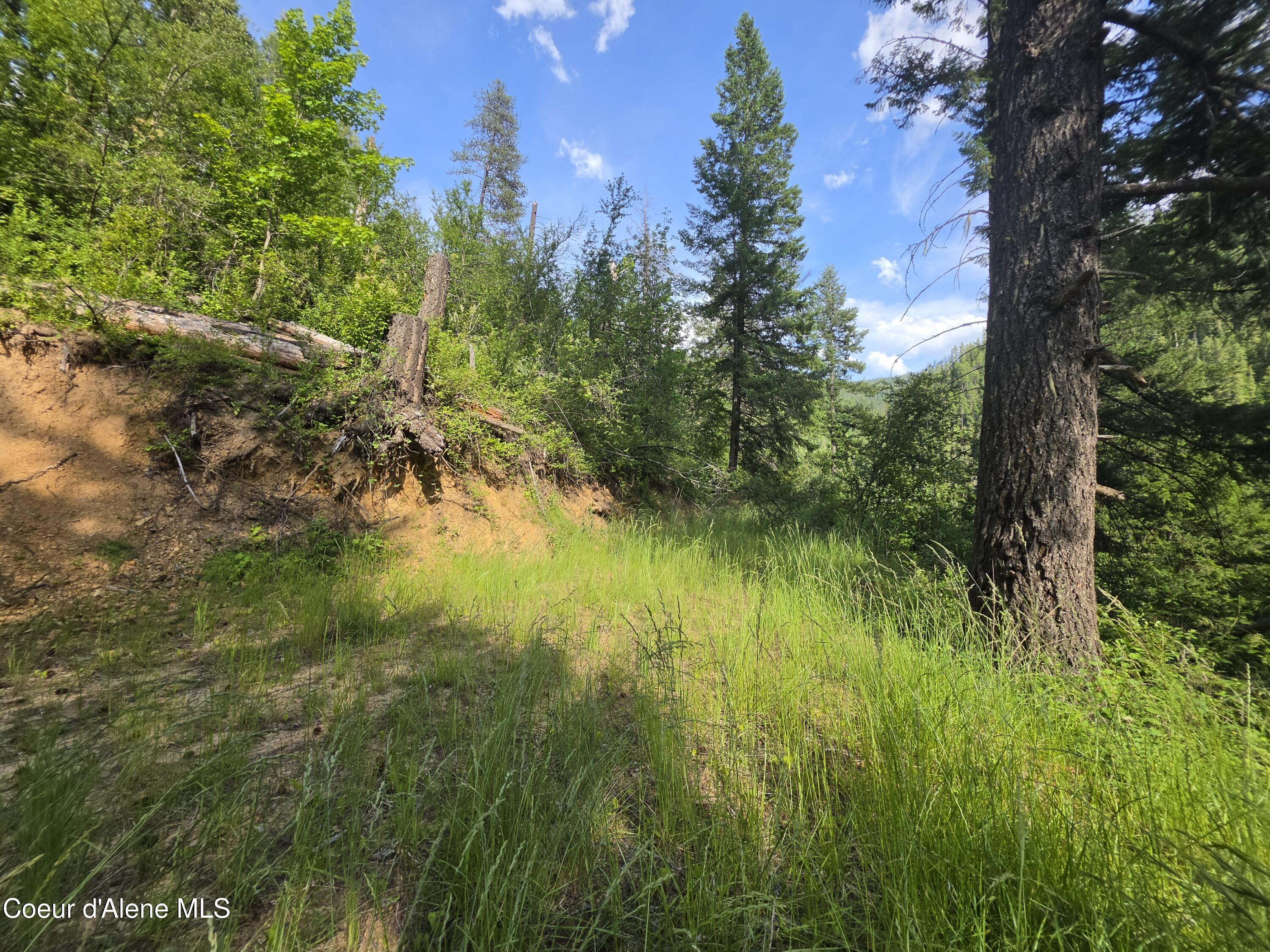 480 Dunn Peak Road Avery, ID 83802 - Photo 26 of 66 1st Building site
