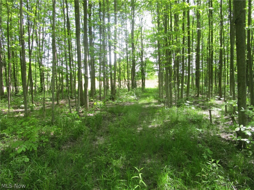 Vl Doyle Road Jefferson, OH 44047 - Photo 10 of 42