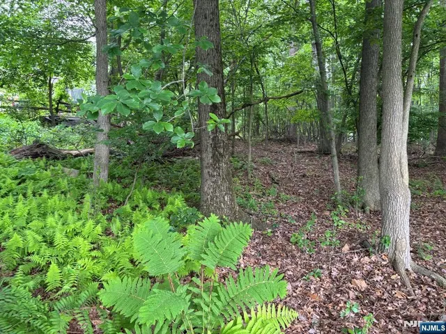 $67,000 | 0 Oakwood, West Milford, NJ 07480