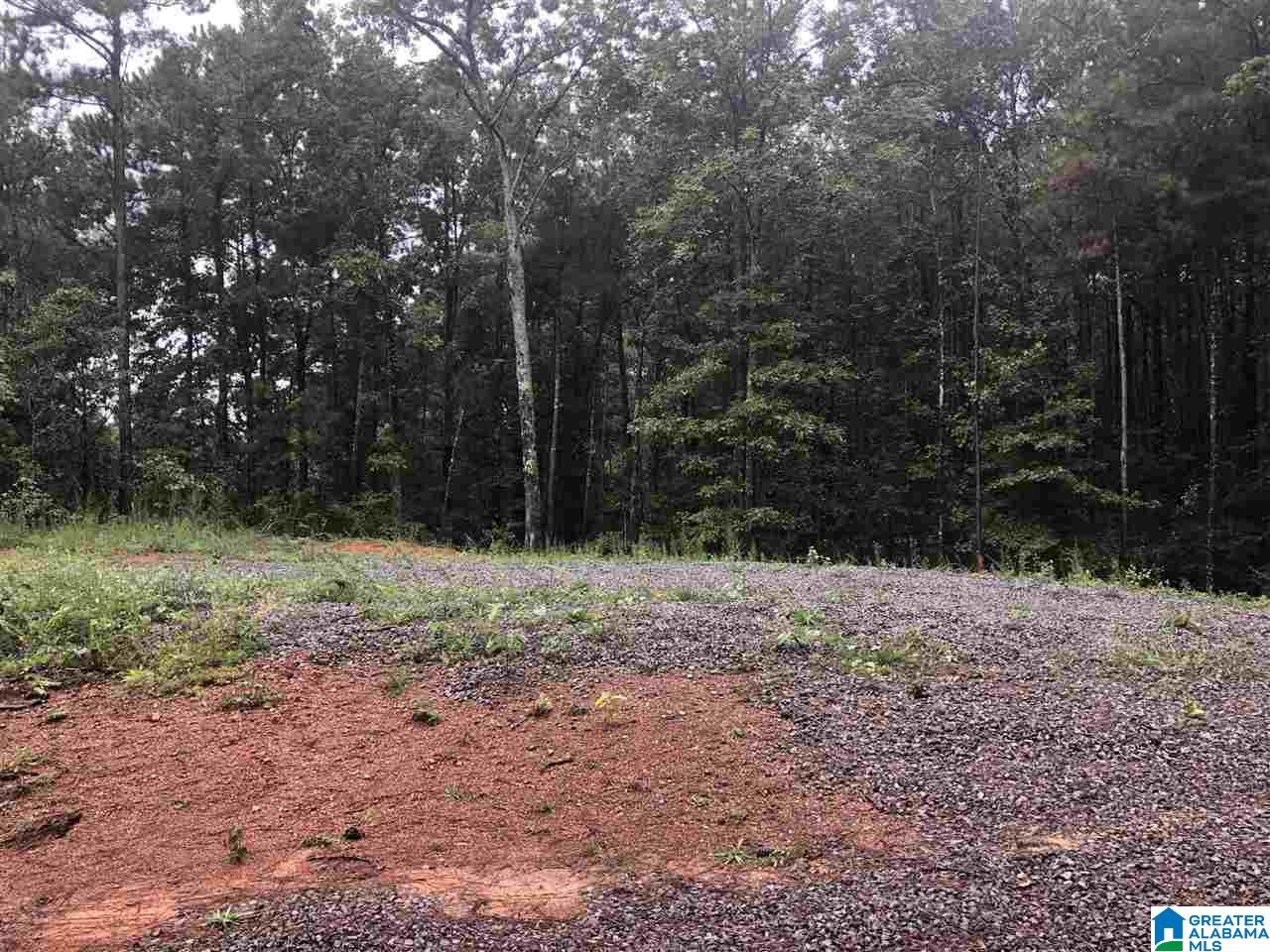 659 Deaver Walker Road, Unit 1 Trafford, AL 35172 - Photo 5 of 7