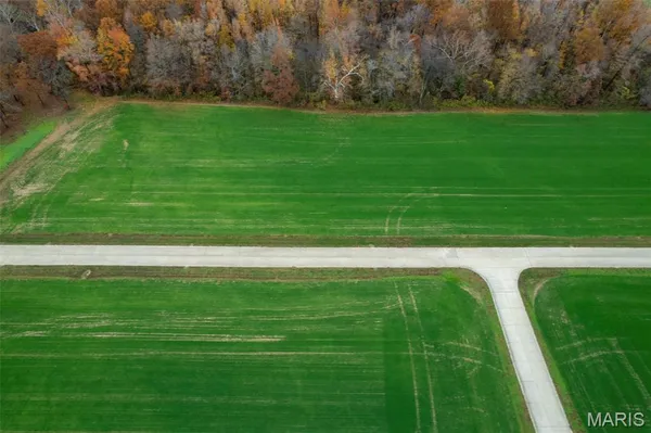 $60,000 | 420 Bertha E Dumey Drive, Benton, MO 63736